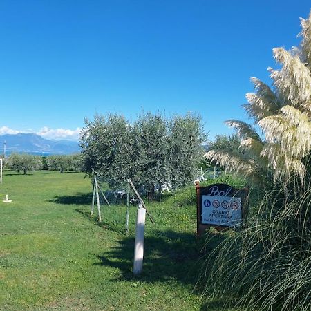 Agriturismo Al-Bor Lazise Exterior foto